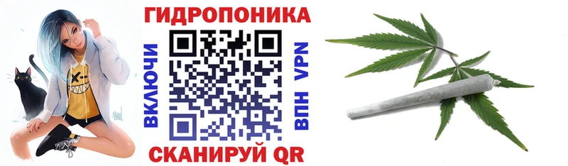 Как найти наркотики Чапаевск ГАШ Альфа ПВП Меф мяу мяу mega как зайти КОКАИН Экстази