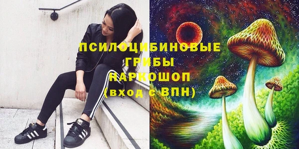 PSILOCYBIN Алексин
