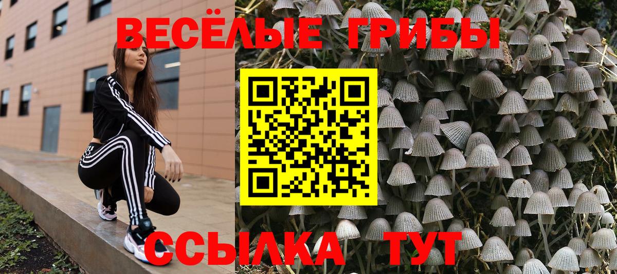 Псилоцибиновые грибы прущие грибы  Вход с VPN  Чапаевск 